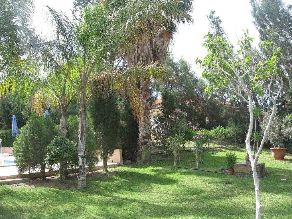 Zena Holiday Villa Pissouri Esterno foto
